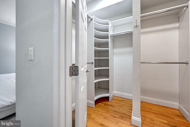 spacious closet featuring wood-type flooring