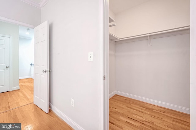 spacious closet featuring light hardwood / wood-style flooring