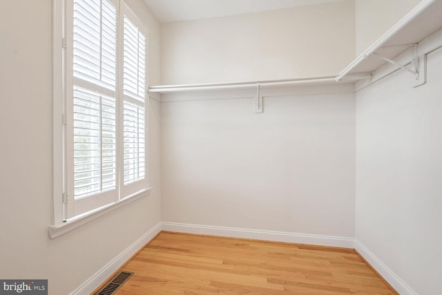 spacious closet with hardwood / wood-style floors