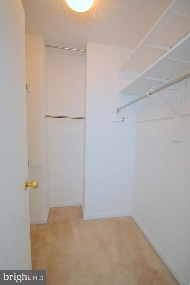 spacious closet featuring light colored carpet