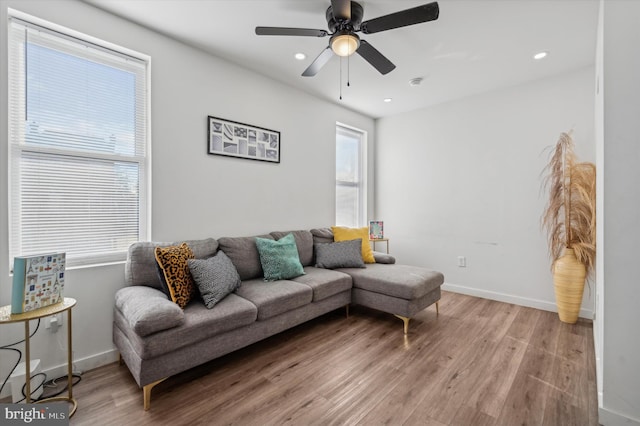 living room featuring ceiling fan and light hardwood / wood-style flooring