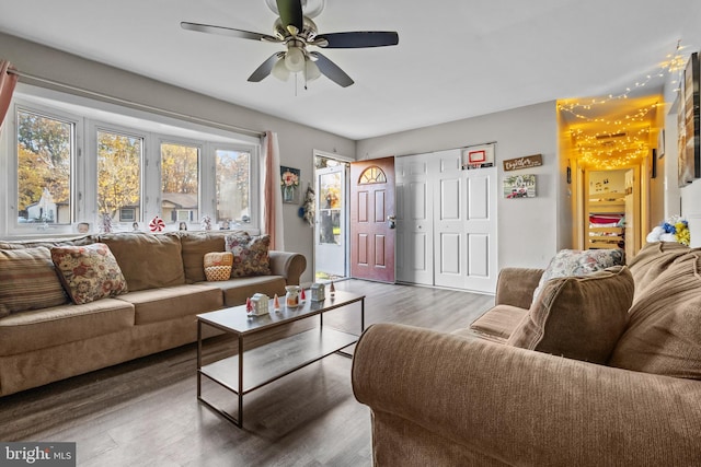 living room featuring dark wood-type flooring and ceiling fan