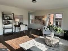 living room featuring dark wood-type flooring