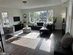 living room with wood-type flooring