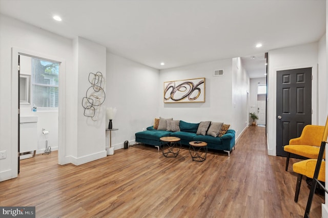 living room featuring hardwood / wood-style flooring