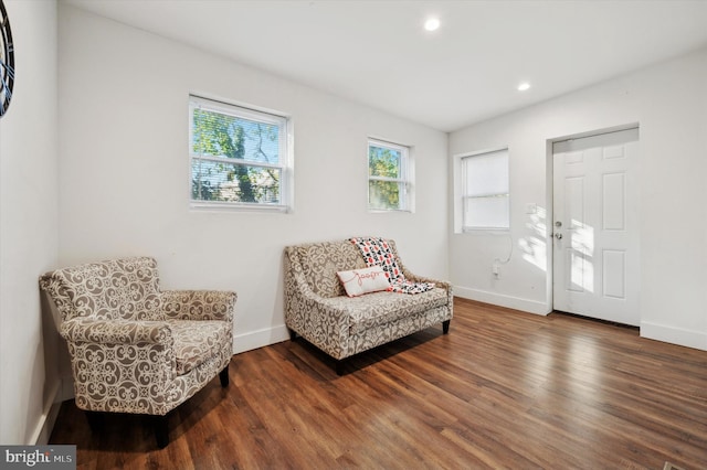 living area with wood-type flooring