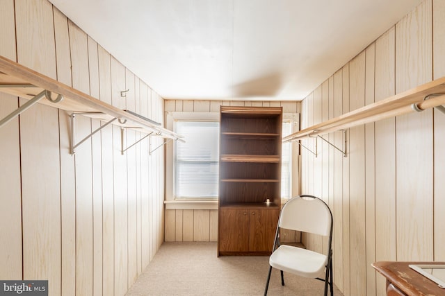 spacious closet with light colored carpet