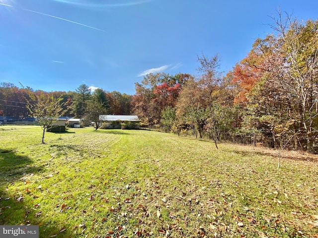 view of yard featuring a rural view