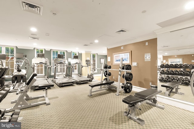 gym with carpet and crown molding