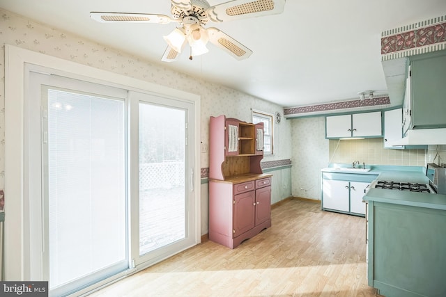 kitchen featuring ceiling fan, light hardwood / wood-style flooring, and sink