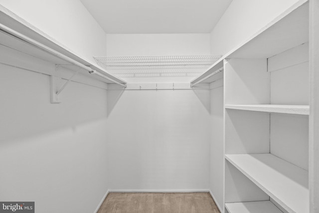 spacious closet featuring light hardwood / wood-style floors