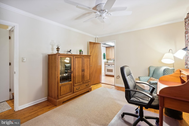 office featuring ornamental molding, light wood-type flooring, and ceiling fan