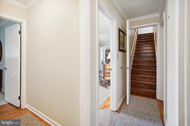 corridor featuring ornamental molding and light wood-type flooring