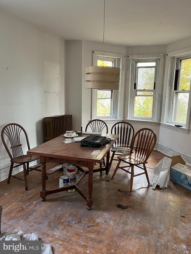 dining area with hardwood / wood-style floors