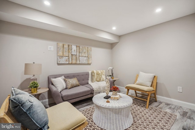 living room featuring light hardwood / wood-style floors