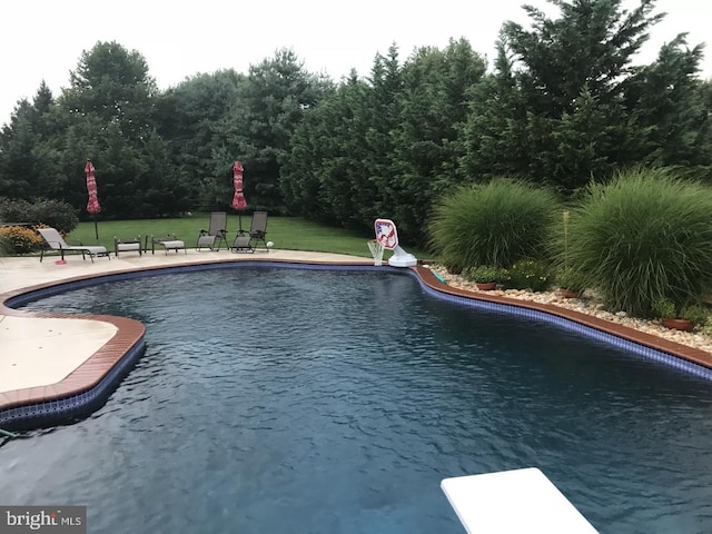 view of swimming pool featuring a patio, a yard, and a diving board