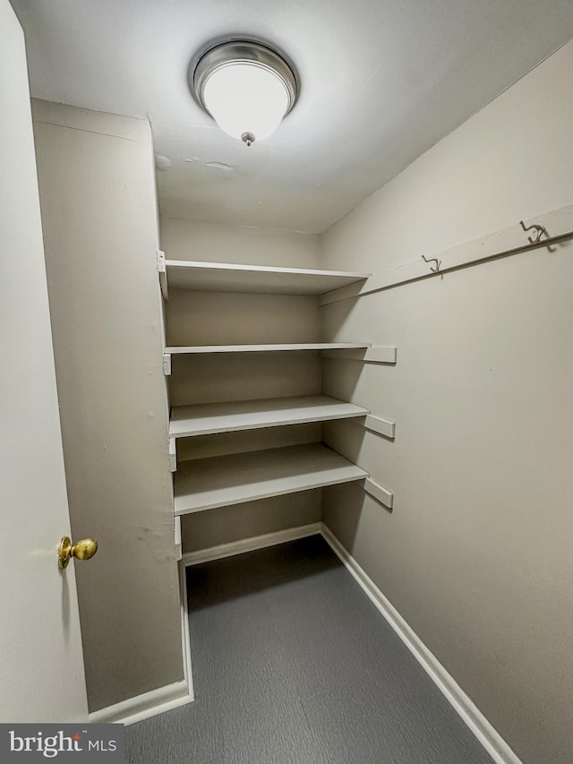 walk in closet with carpet