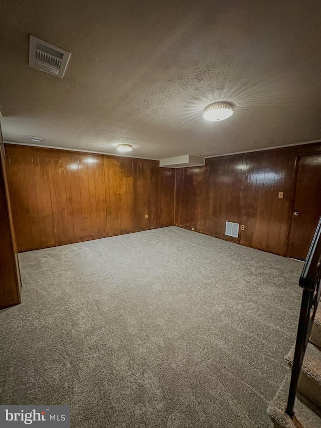 basement featuring wood walls and carpet floors