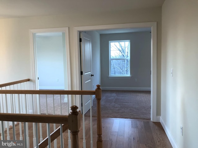 corridor with dark hardwood / wood-style floors