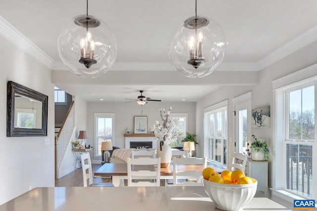 interior space featuring ornamental molding, ceiling fan with notable chandelier, and hardwood / wood-style flooring