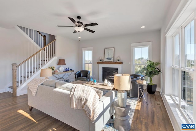 living room with ceiling fan and dark hardwood / wood-style floors