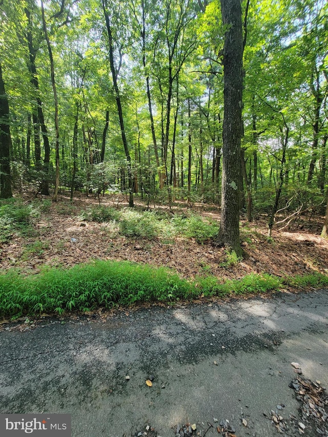 0 Neversink, Mount Penn, PA 19606