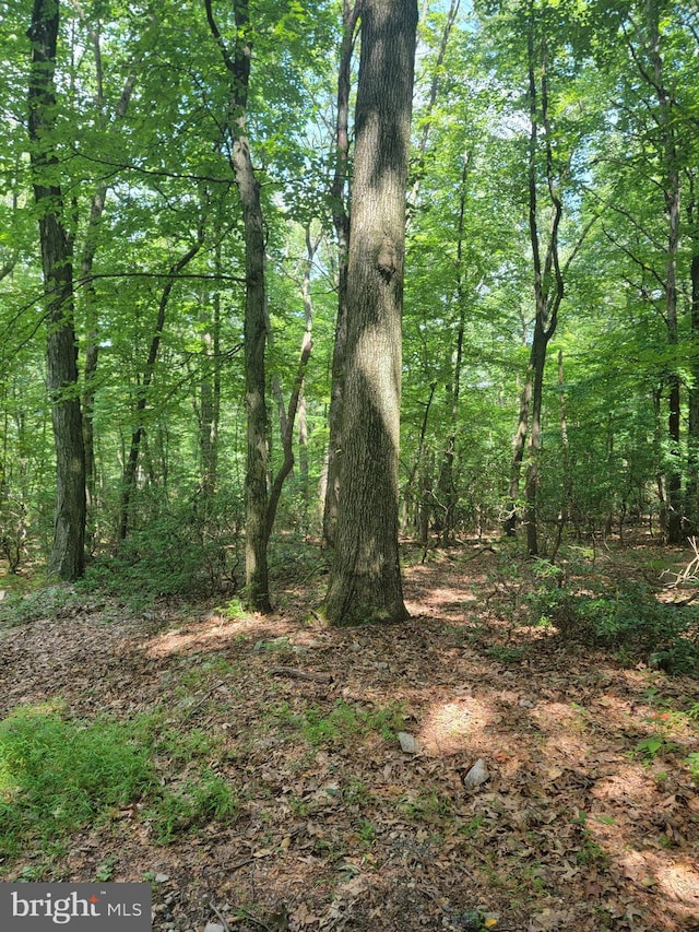 0 Neversink, Mount Penn, PA 19606