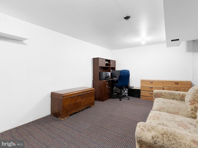 home office with carpet floors