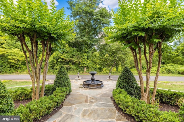6318 Georgetown Pike, Mclean, VA 22101 - view of community featuring view of wooded area