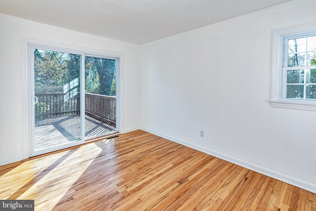339 Hamilton Ave, Princeton, NJ 08540 - empty room with plenty of natural light, light wood finished floors, and baseboards