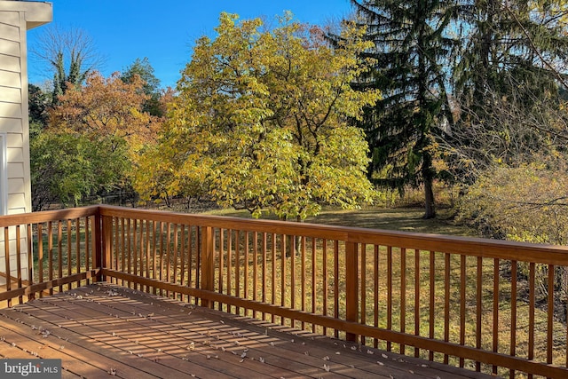 339 Hamilton Ave, Princeton, NJ 08540 - view of wooden deck