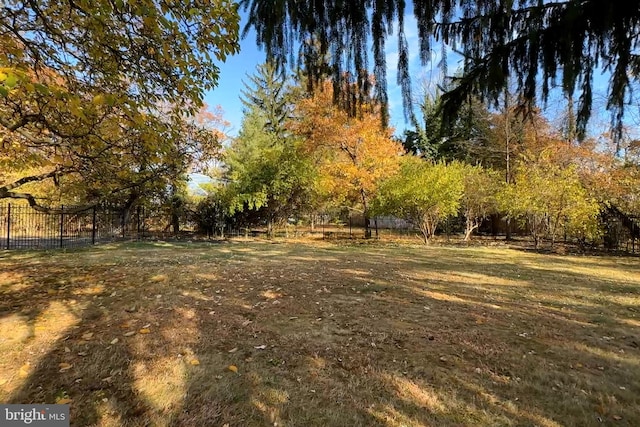 339 Hamilton Ave, Princeton, NJ 08540 - view of yard with fence