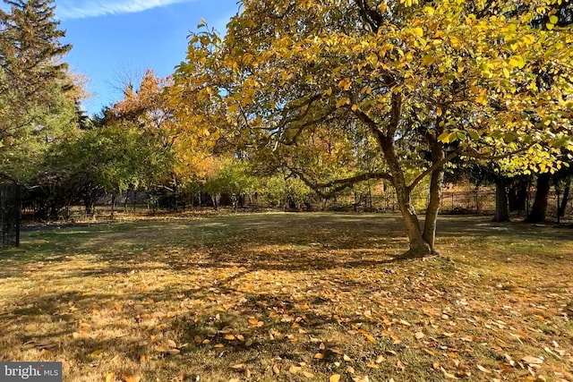 339 Hamilton Ave, Princeton, NJ 08540 - view of yard