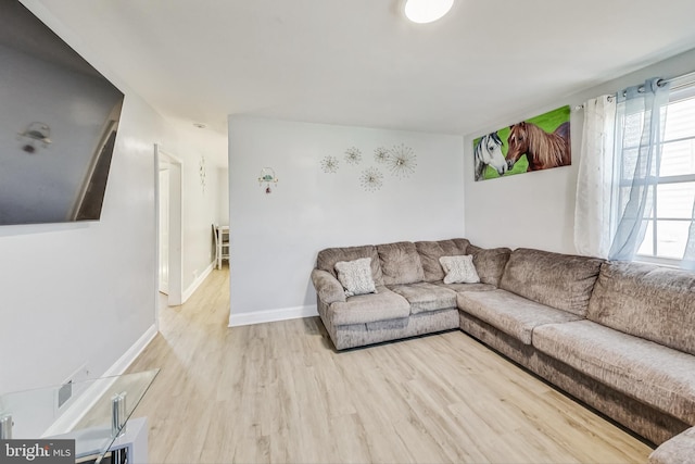 living room featuring light hardwood / wood-style flooring