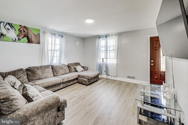 living room featuring a healthy amount of sunlight and light wood-type flooring