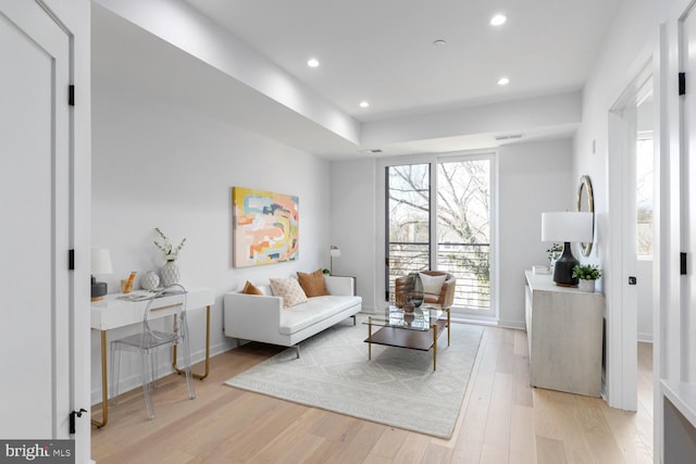 living room with light wood-type flooring