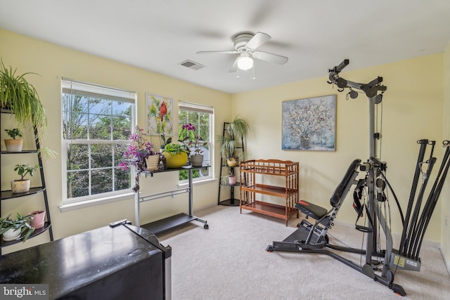 workout room featuring carpet and ceiling fan