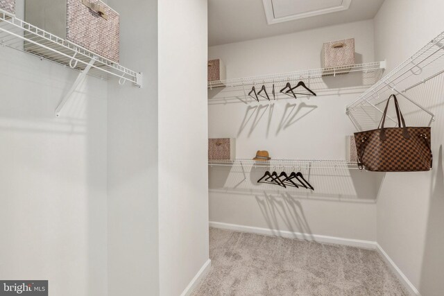 spacious closet with carpet flooring