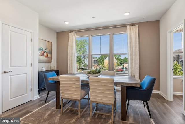 dining room with dark hardwood / wood-style floors and a healthy amount of sunlight