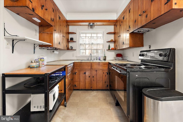 kitchen featuring sink, crown molding, and electric range