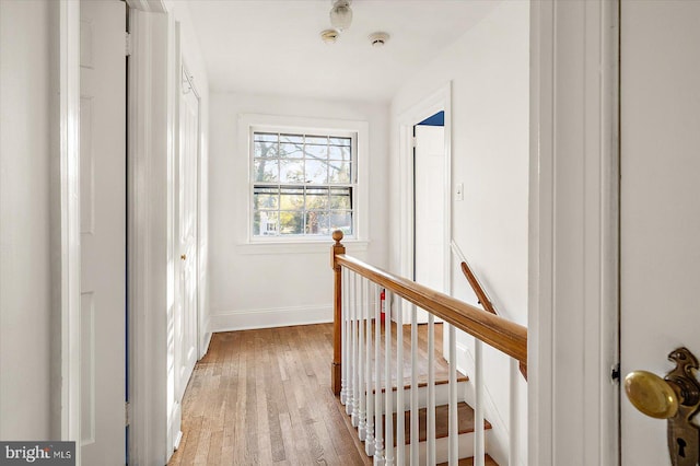 hall with hardwood / wood-style floors