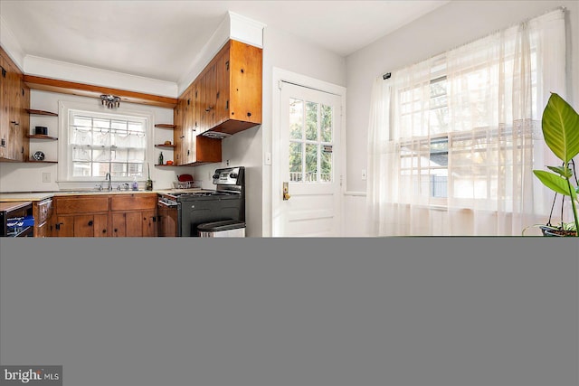 kitchen featuring black electric range oven, a wealth of natural light, sink, and black stove