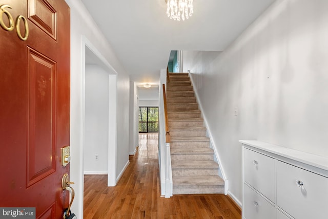 staircase with hardwood / wood-style floors