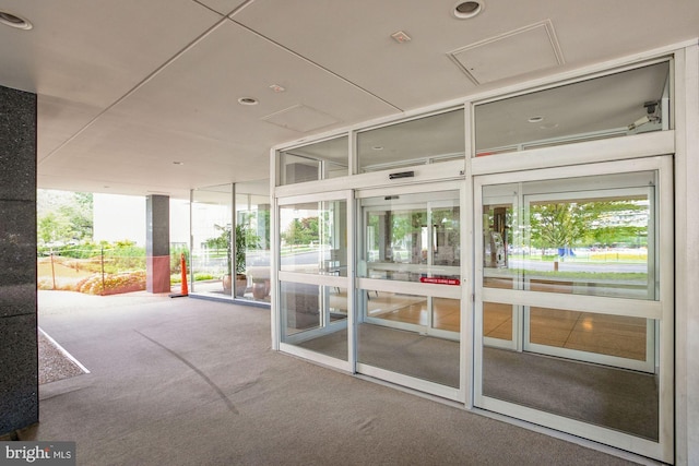 entryway featuring carpet floors