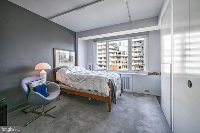 bedroom with carpet