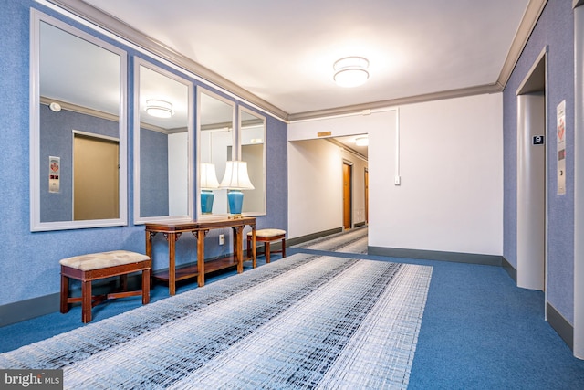 hallway with crown molding, carpet floors, and baseboards