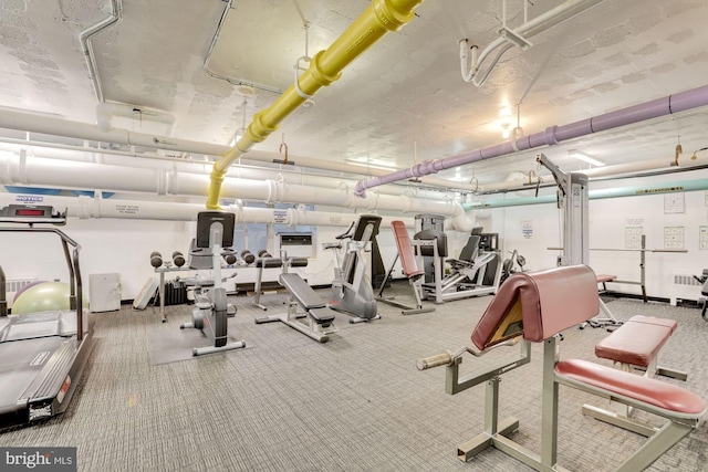 exercise room featuring carpet