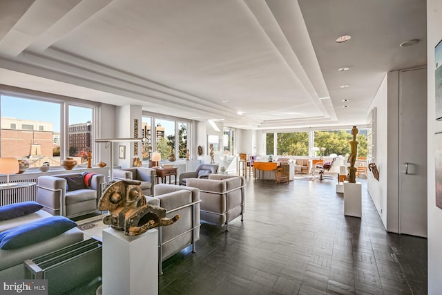 living room featuring a raised ceiling