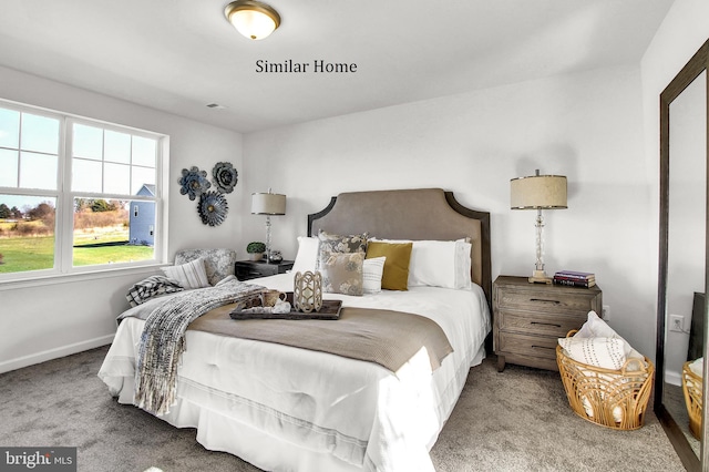 317 Valley View Cir Unit 98, York, PA 17408 - bedroom with carpet and baseboards
