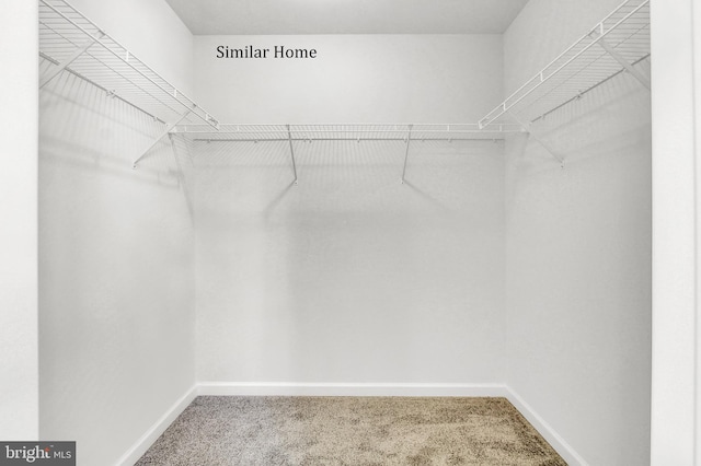 317 Valley View Cir Unit 98, York, PA 17408 - spacious closet with carpet